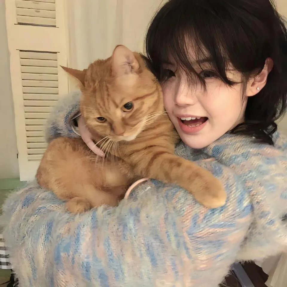 比利·林恩的中场战事